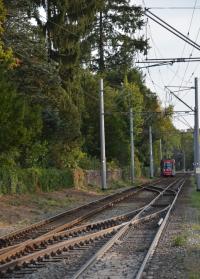 Gleis- und Fahrbahnsanierung in den Herbstferien